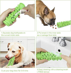 The Furr company Molar Toothbrush toy for dog - green