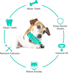 The Furr company Molar Toothbrush toy for dog - Blue