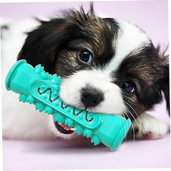 The Furr company Molar Toothbrush toy for dog - Blue