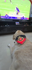 IPL Edition Bandana - Bangalore