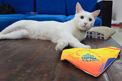 IPL Edition Bandana - Chennai