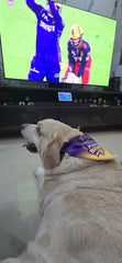 IPL Edition Bandana - Kolkata