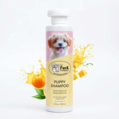 Puppy Shampoo | Goodness of Mango and Turmeric for gentle cleansing and deep moisturization | Natural, Sulfate & Paraben Free | 200 ML
