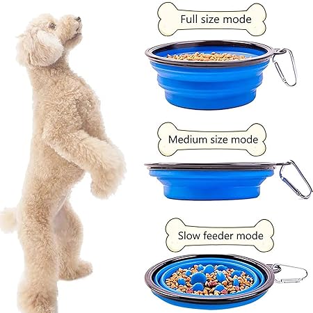 The Furr Company Foldable feeder for dogs and cats- Blue