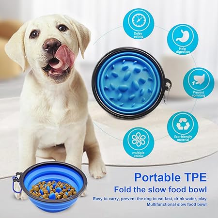 The Furr Company Foldable feeder for dogs and cats- Blue