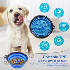 The Furr Company Foldable feeder for dogs and cats- Blue