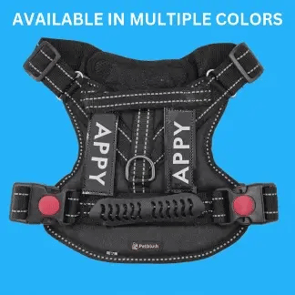Pet Blush Tactical Harness -Large-Black