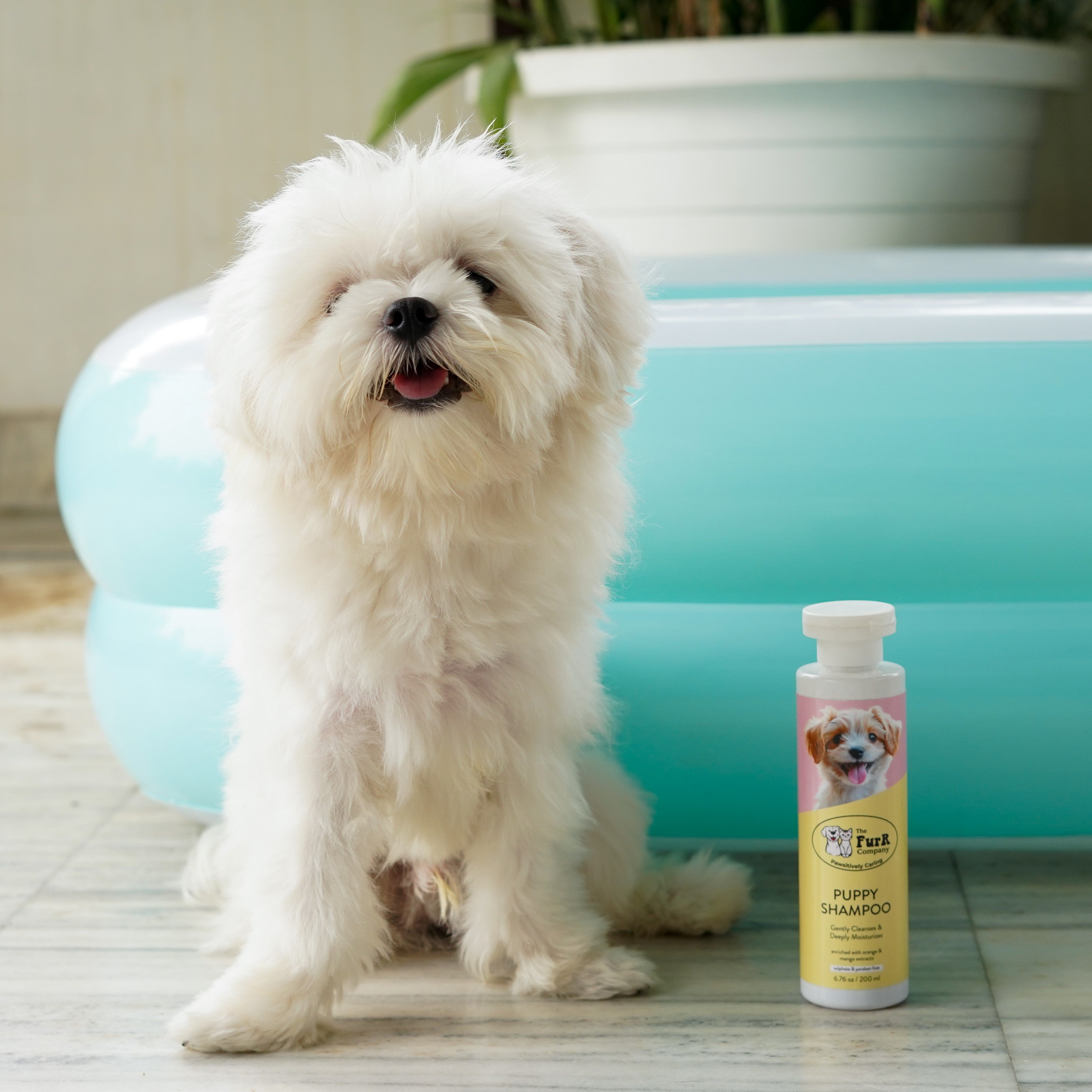 Puppy Shampoo | Goodness of Mango and Turmeric for gentle cleansing and deep moisturization | Natural, Sulfate & Paraben Free | 200 ML