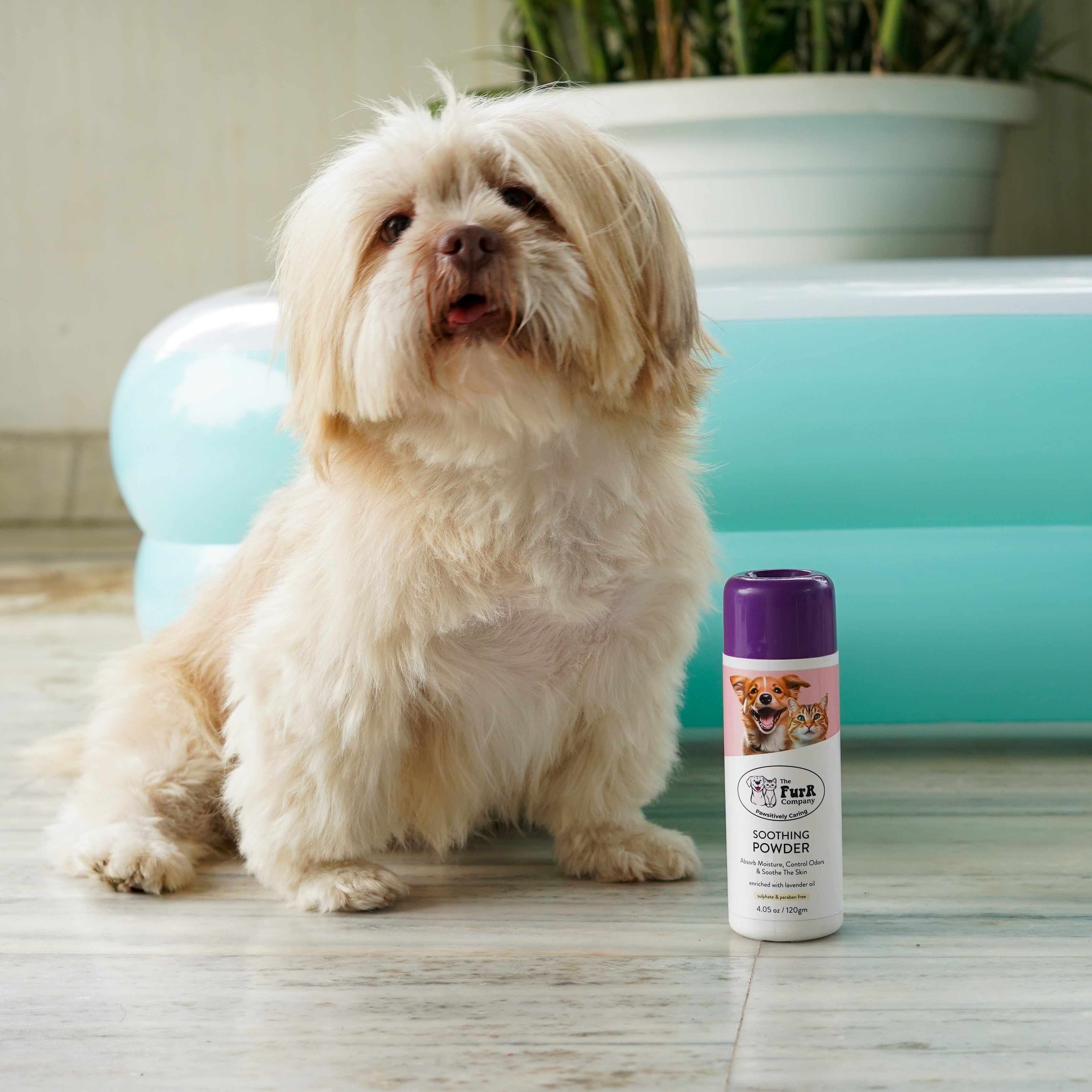 Paw Cleaner & Powder combo for Feet and Skin care | Natural | Sulfate & Paraben Free | 110 & 120 ML