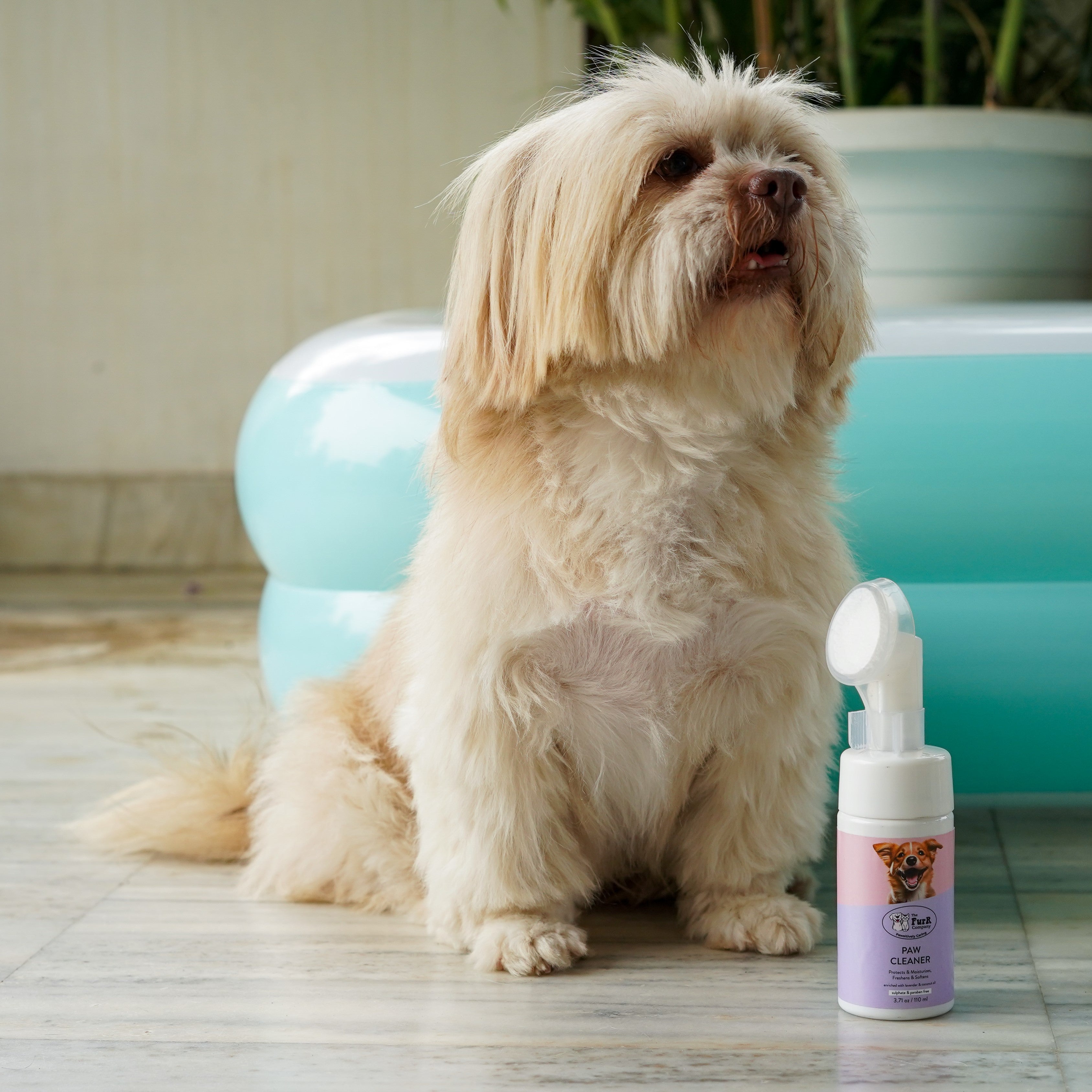 Paw Cleaner & Powder combo for Feet and Skin care | Natural | Sulfate & Paraben Free | 110 & 120 ML