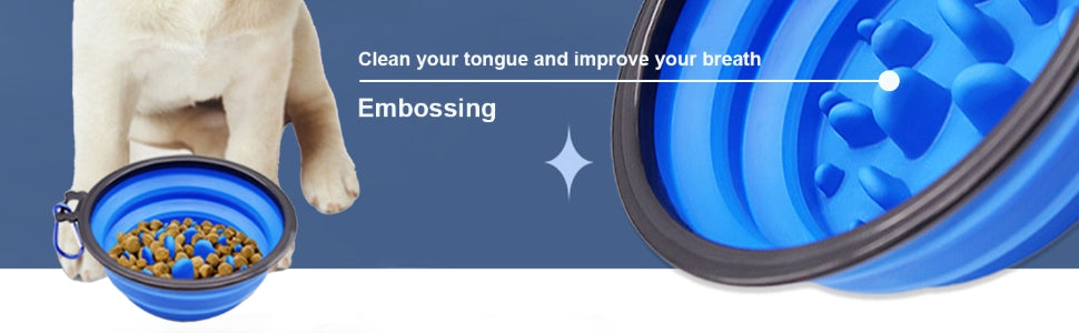 The Furr Company Foldable feeder for dogs and cats- Blue