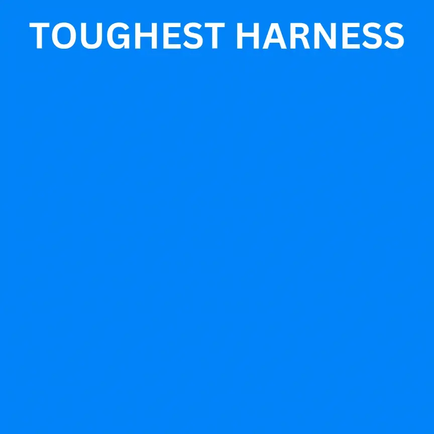 Pet Blush Tactical Harness -Large-Black