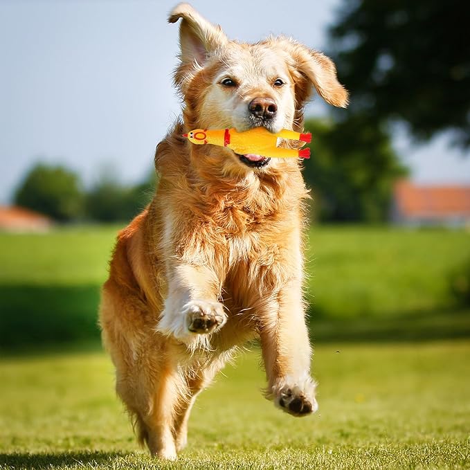 The Furr company Chicken squeaky toy